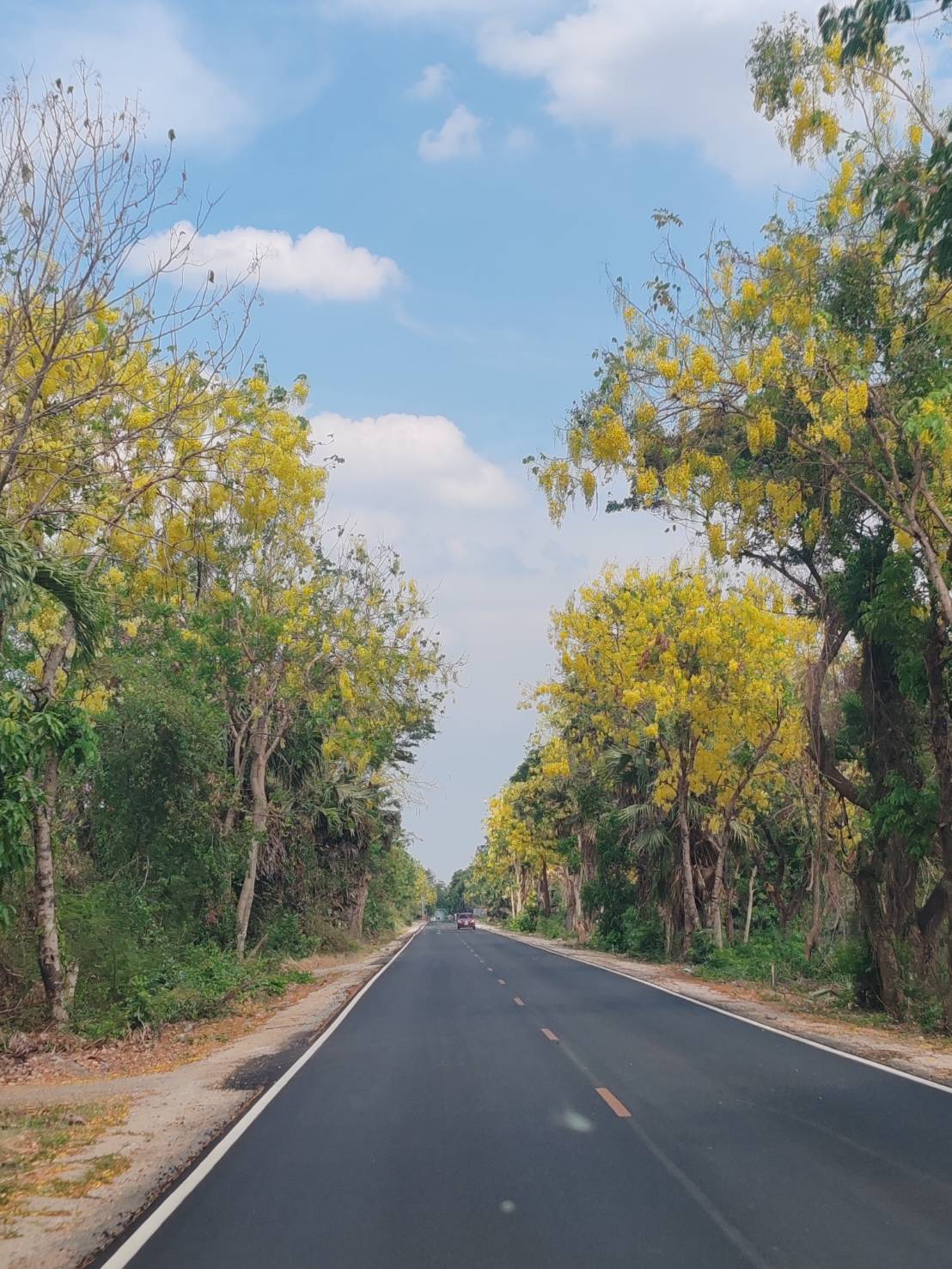 🌿 FD001: Adventure Awaits in Kanchanaburi! 🚐🚤🚂