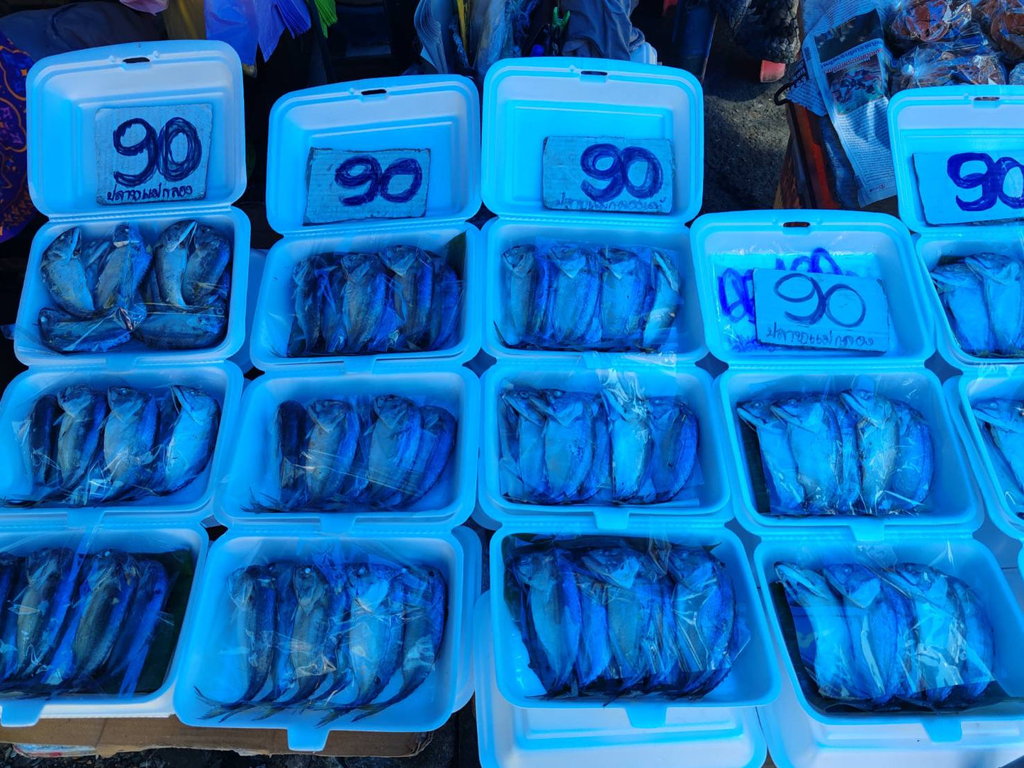 🌴 FD002: Join Our One-Day Cultural Adventure! Damnoen Saduak and Mae Klong Railway Market