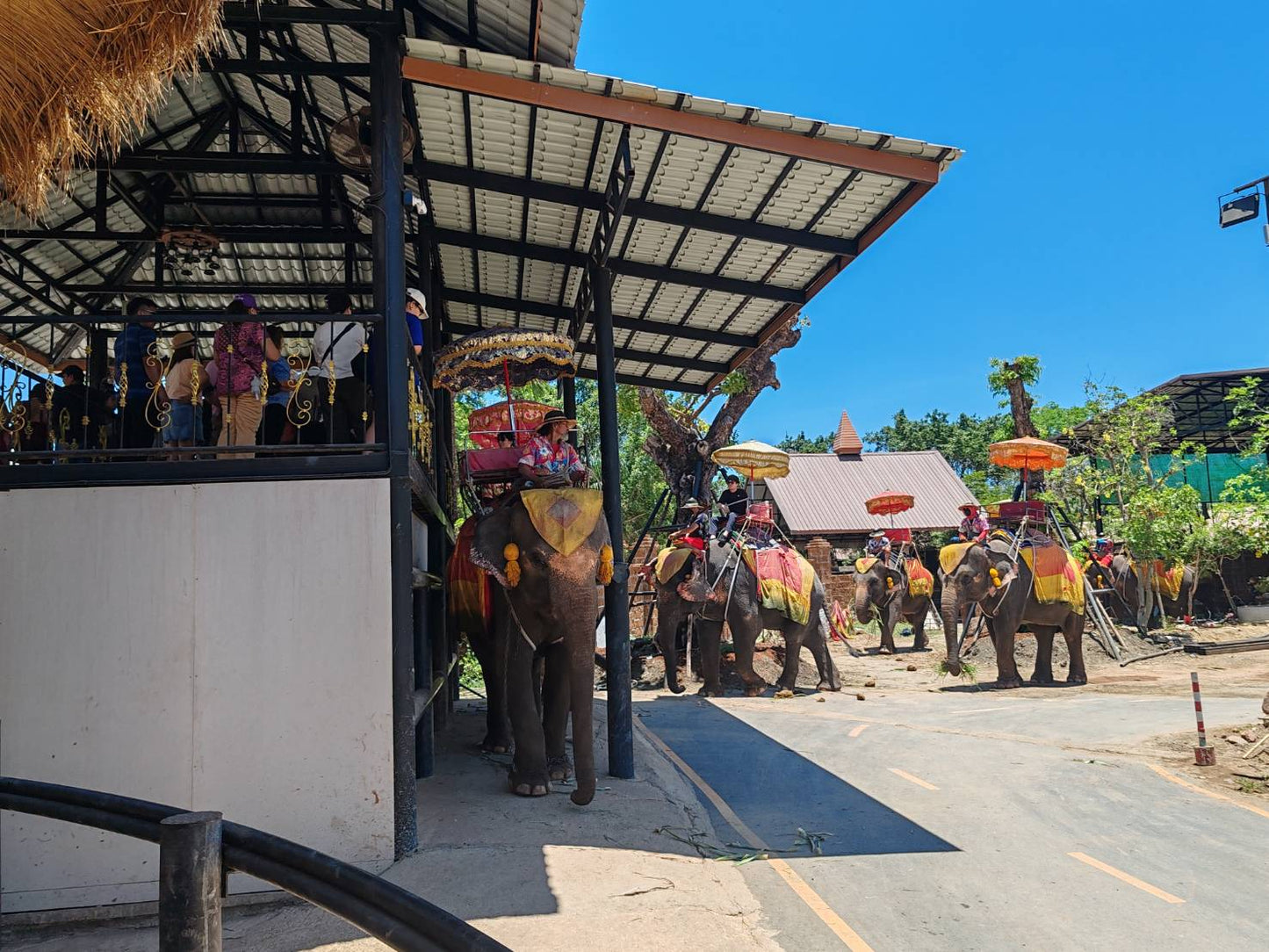 🌴 FD002: Join Our One-Day Cultural Adventure! Damnoen Saduak and Mae Klong Railway Market