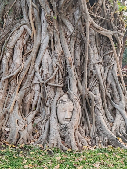 🕌🐘 HD003: Step Back in Time: Discover the Ancient Wonders of Ayutthaya! 🐘🕌