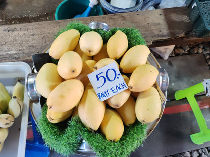 SCT001: Tricycle Ride, Train to Maeklong & Boat at Damnoen Saduak: A Journey Through Thailand’s Timeless Markets