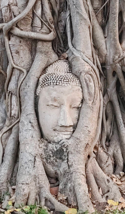 ็HD007: 🌟 Discover the Legacy of Ayutthaya with Trip To Thai 🌟