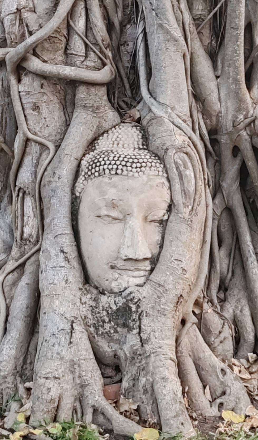 HD005 🌟 Uncover the Magic of Ayutthaya – A Journey Through Time 🌟
